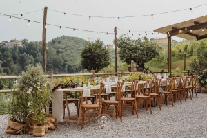 Prosecco-viinikierros. Koko päivä - 2 viinitilaa. Venetsiasta