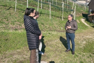 Prosecco-viinikierros. Koko päivä - 2 viinitilaa. Venetsiasta