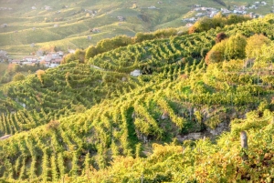 Prosecco: Wine tour & tasting along the Unesco hills