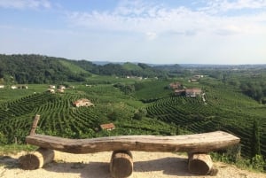 Prosecco: Wine tour & tasting along the Unesco hills