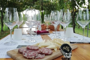 Prosecco: Wine tour & tasting along the Unesco hills