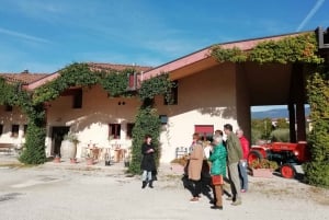 Prosecco: Wein Tour & Verkostung entlang der Unesco-Hügel