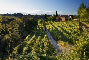 Prosecco Winery Tasting with Food Pairing near Venice