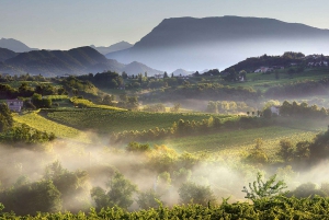 Prosecco Winery Tasting with Food Pairing near Venice