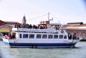 Punta Sabbioni: Murano, Burano & Torcello Guided Boat Tour