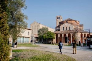 Punta Sabbioni: Tour guidato in barca di Murano, Burano e Torcello