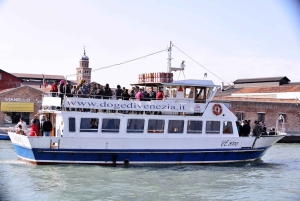 Punta Sabbioni: Tour guidato in barca di Murano, Burano e Torcello