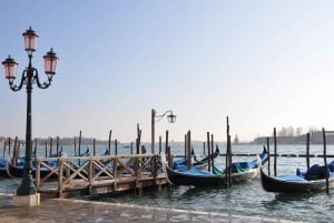 From Rome: Full-Day Small Group Tour to Venice by Train