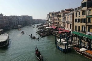 From Rome: Full-Day Small Group Tour to Venice by Train