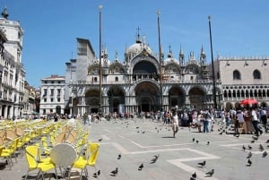 From Rome: Full-Day Small Group Tour to Venice by Train