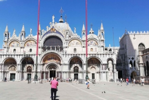 Rome: Dagtrip Venetië met eilandcruise en stadswandeling