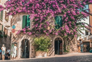 Semi-privat rundtur til Verona og Gardasøen fra Venedig og Treviso