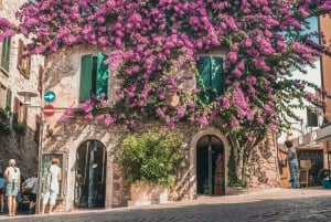 Semi-privat rundtur til Verona og Gardasøen fra Venedig og Treviso