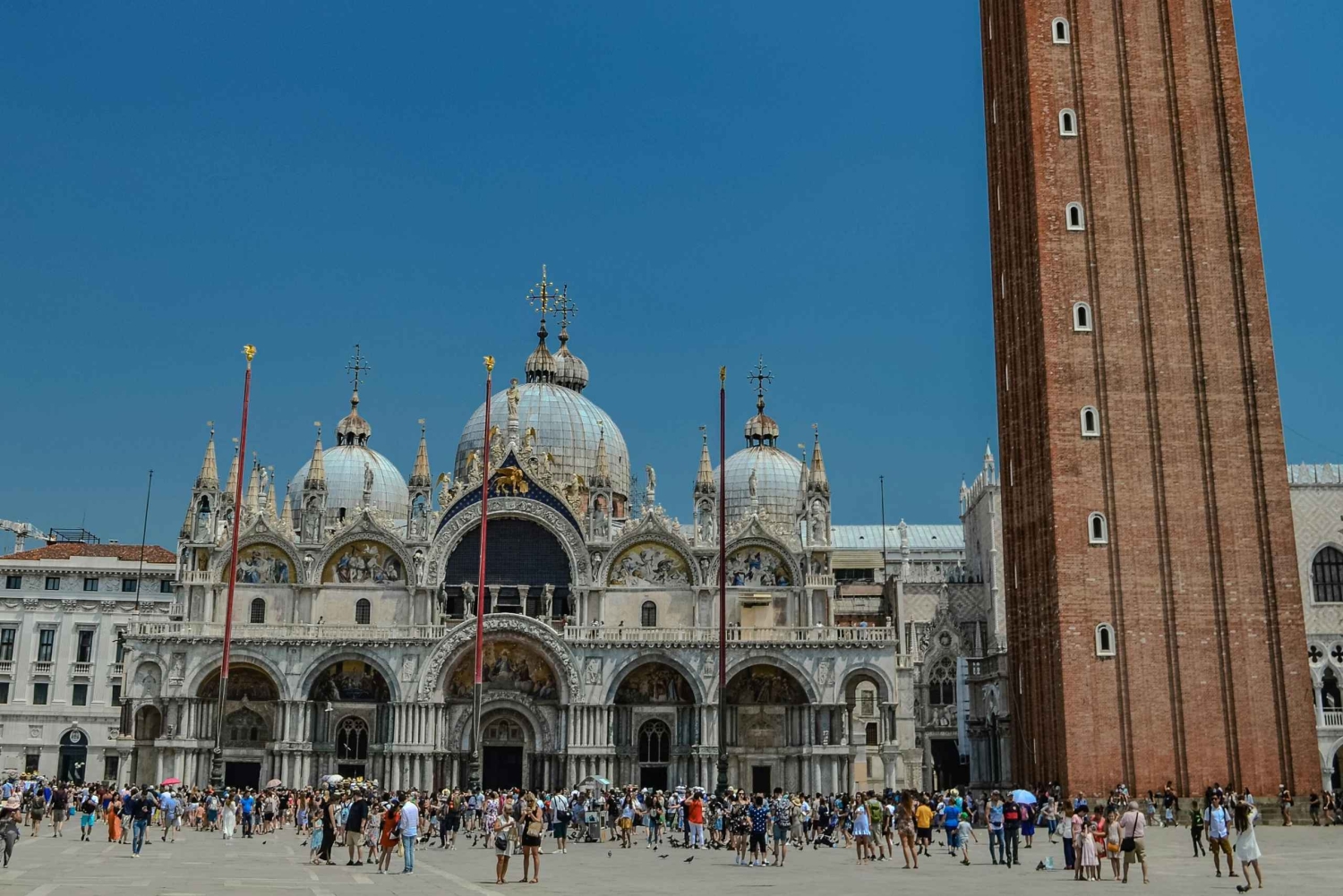 Террасы базилики Святого Марка, Прокурации, экскурсия на колокольню