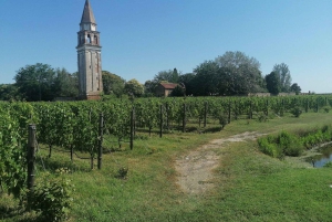 The gems of the lagoon. Torcello Burano Murano