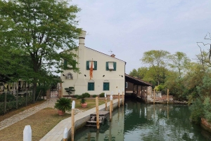 Las joyas de la laguna. Torcello Burano Murano