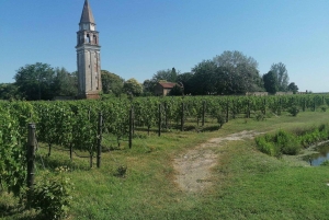 Venedigs öar. Torcello Burano Murano