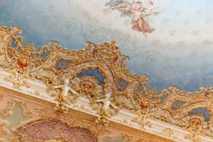 The Majestic Teatro La Fenice: Guided Tour in Venice