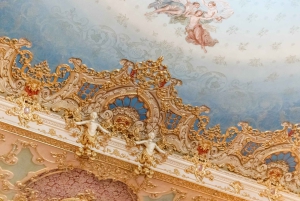 Il maestoso Teatro La Fenice: tour guidato a Venezia