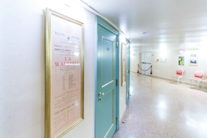 Il maestoso Teatro La Fenice: tour guidato a Venezia