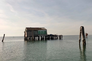 Tur till Pellestrina i en typisk lagunbåt från Chioggia