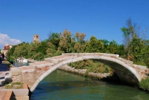 Transfer z Punta Sabbioni z wycieczką po wyspach Laguny Weneckiej