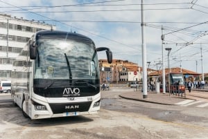 Treviso Airport till Mestre och Venedig med expressbuss