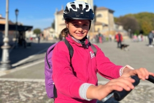 トレヴィーゾ-ジェソロ：バスで戻るシレサイクリングロードのサイクリングツアー