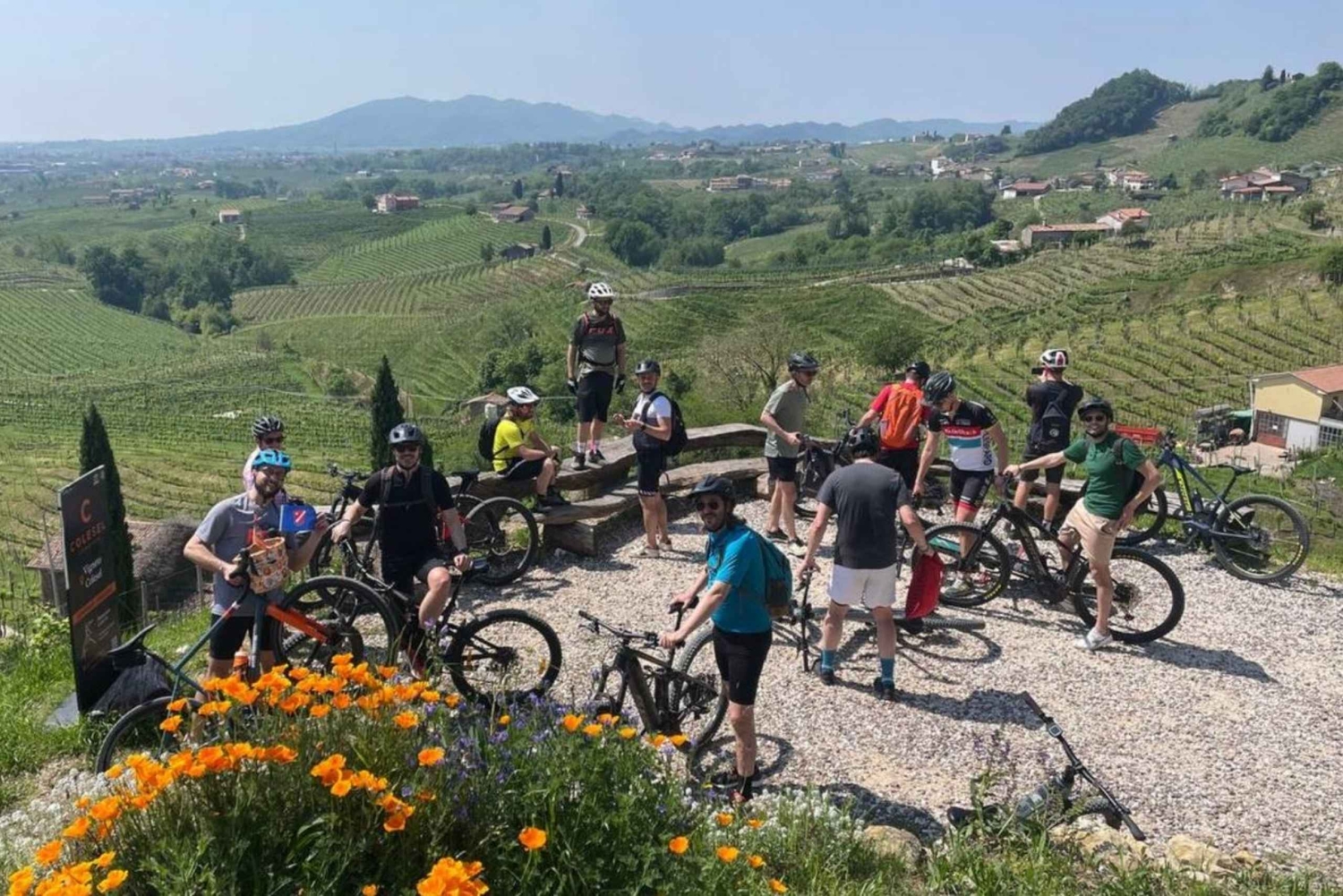 ヴァルドビアーデネ：プロセッコの丘でのガイド付きE-バイクツアー