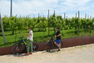 Valdobbiadene: Tour guiado en bicicleta eléctrica por las colinas de Prosecco