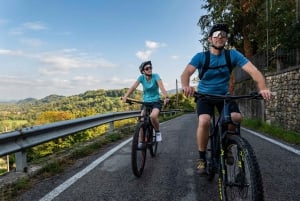 Valdobbiadene: Tour guiado en bicicleta eléctrica por las colinas de Prosecco