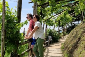 Valdobbiadene: Tour guiado en bicicleta eléctrica por las colinas de Prosecco