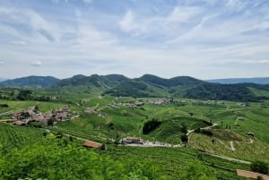 Valdobbiadene: Tour guiado en bicicleta eléctrica por las colinas de Prosecco