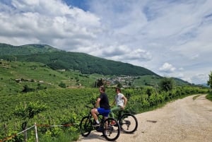 Valdobbiadene: Tour guiado en bicicleta eléctrica por las colinas de Prosecco