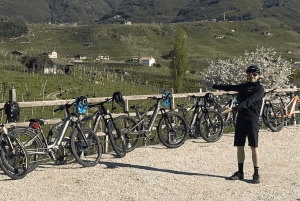 ヴァルドビアーデネ：プロセッコの丘でのガイド付きE-バイクツアー