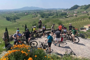 ヴァルドビアーデネ：プロセッコの丘でのガイド付きE-バイクツアー