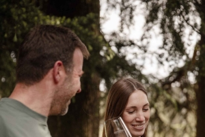 ヴァルドビアーデネ：プロセッコの丘でのガイド付きE-バイクツアー