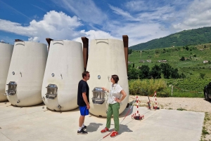 ヴァルドビアーデネ：プロセッコの丘でのガイド付きE-バイクツアー