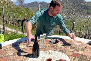 ヴァルドビアーデネ：プロセッコの丘でのガイド付きE-バイクツアー