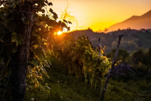 ヴァルドビアーデネ：プロセッコの丘でのガイド付きE-バイクツアー