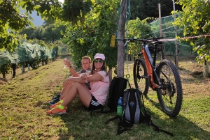 ヴァルドビアーデネ：プロセッコの丘でのガイド付きE-バイクツアー