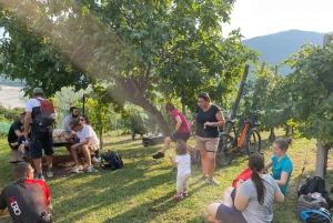 ヴァルドビアーデネ：プロセッコの丘でのガイド付きE-バイクツアー