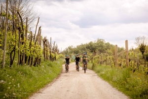 ヴァルドビアーデネ：プロセッコの丘でのガイド付きE-バイクツアー