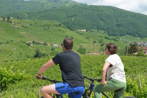 ヴァルドビアーデネ：プロセッコの丘でのガイド付きE-バイクツアー