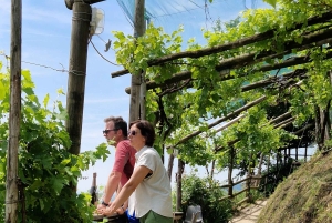 ヴァルドビアーデネ：プロセッコの丘でのガイド付きE-バイクツアー