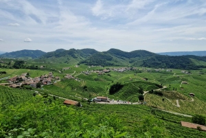 ヴァルドビアーデネ：プロセッコの丘でのガイド付きE-バイクツアー
