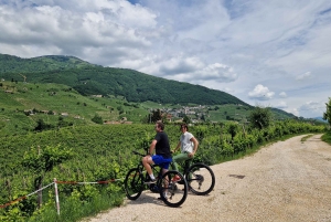 ヴァルドビアーデネ：プロセッコの丘でのガイド付きE-バイクツアー
