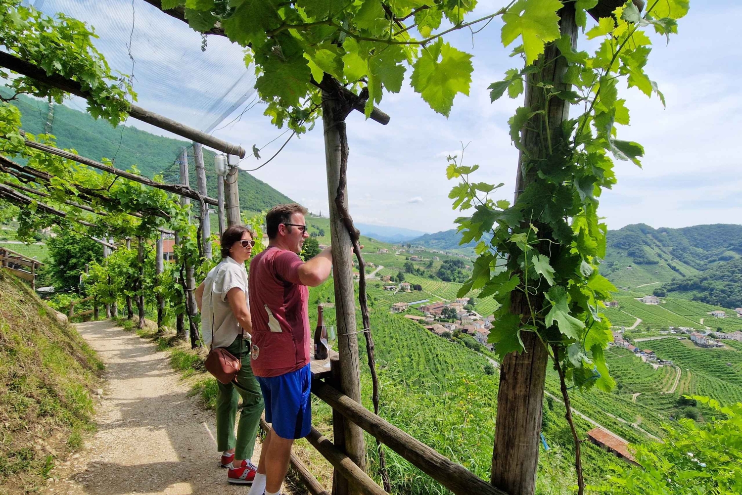 Valdobbiadene: Tour privado y cata de Prosecco con sumiller