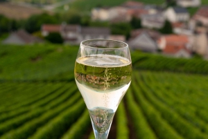 Valdobbiadene: Prosecco private tour & taste with Sommelier