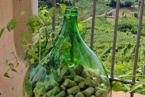 Valdobbiadene: Prosecco private tour & taste with Sommelier